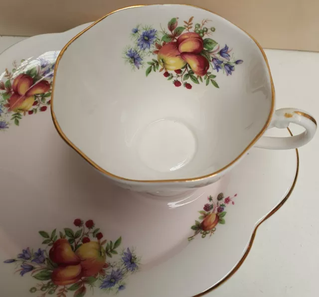 E Brain & Co Foley Bone China Fruit Pn# 4004 Tennis Set c1948-63 Made in England 3