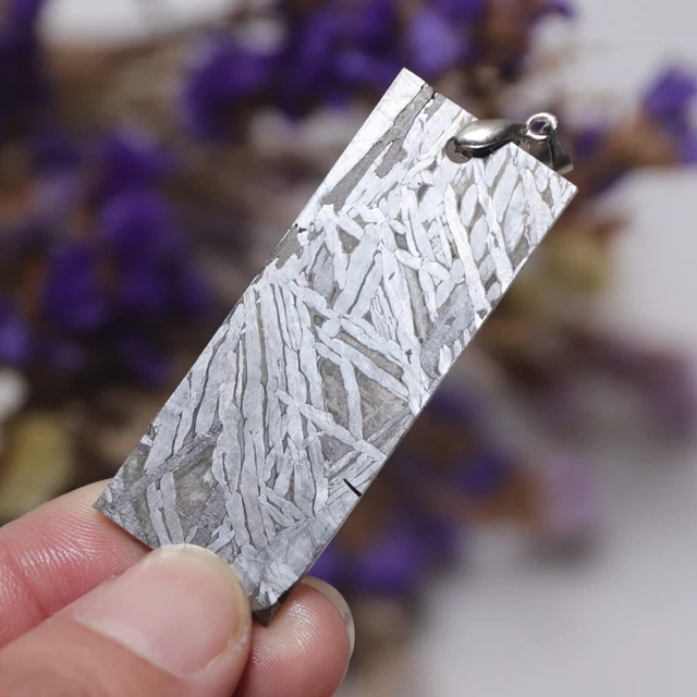 Muonionalusta meteorite Necklace pendant part slice  A1154