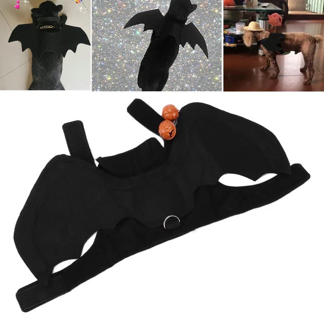 Pet Cat Bat Wings Costume Pet Dog Ruolo Giocare Bat Pet Costume Per Hallowee DB3