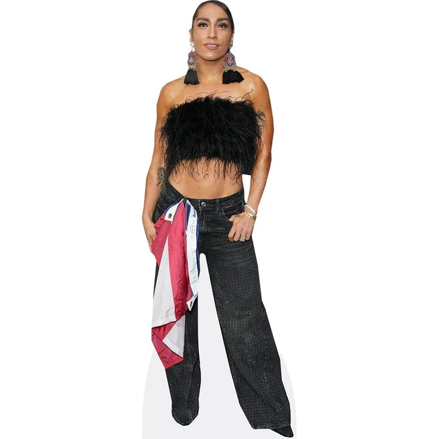 Silhouette En Carton Karlee Grey – Crop Top, Taille Mini (Neuf, Emballé)