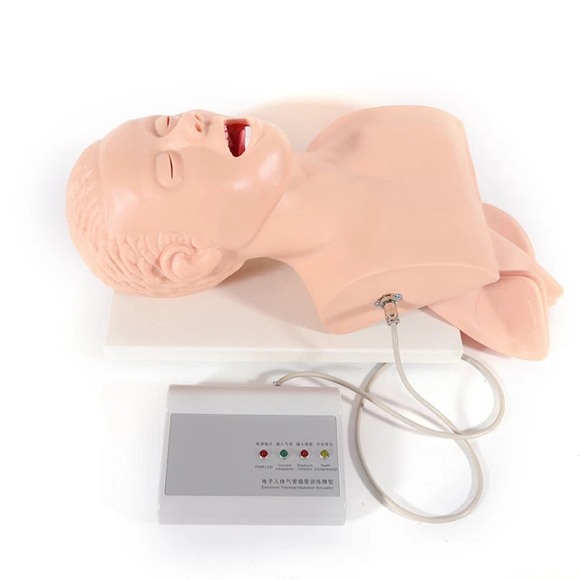 Manikin Teaching Model PVC Oral Nasal Intubation Airway Management Trainer 220V