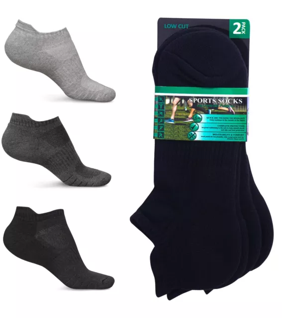 2/4/6/ Mens Ladies Trainer Liner Ankle LowCut Cushion Cotton Rich Sports Socks