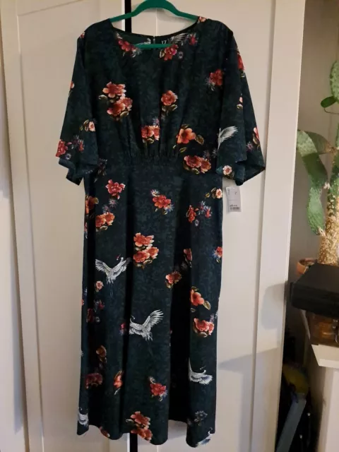Izabel london curve discount dresses