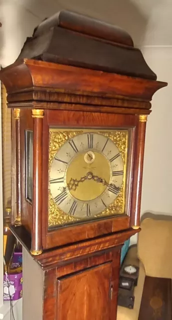 Slim  Antique Walnut " Berwick"  8 Day Longcase / Grandfather Clock