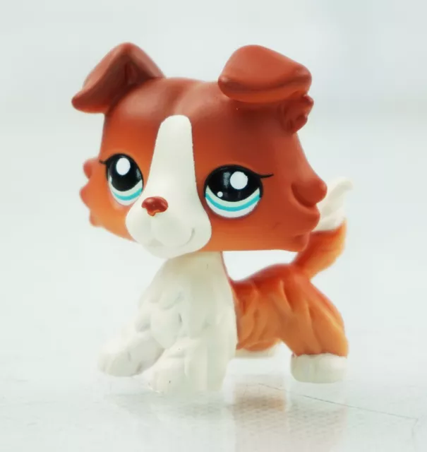 Lps collie 1542 shop