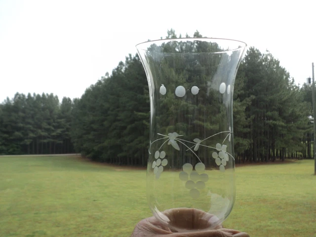 Vtg 6 7/8" Hurricane Lamp Shade / Chimney Clear Glass Etched Grape Vine Design