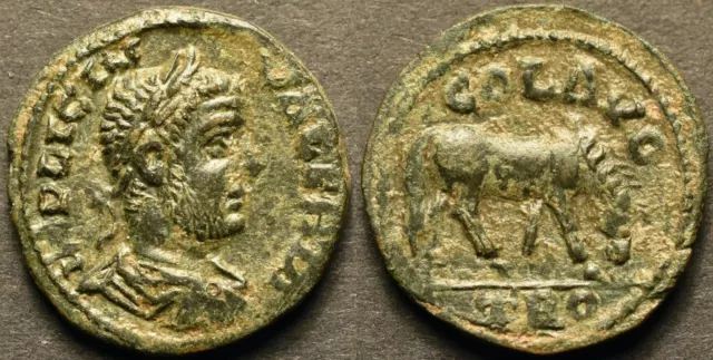 Alexandria, Troas AE As. Valerian I / Horse Grazing