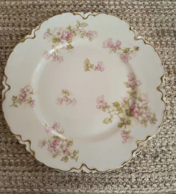 Vintage Haviland & Co Limoges France 9 3/4" Plate Pink Dogwood Gold Trim