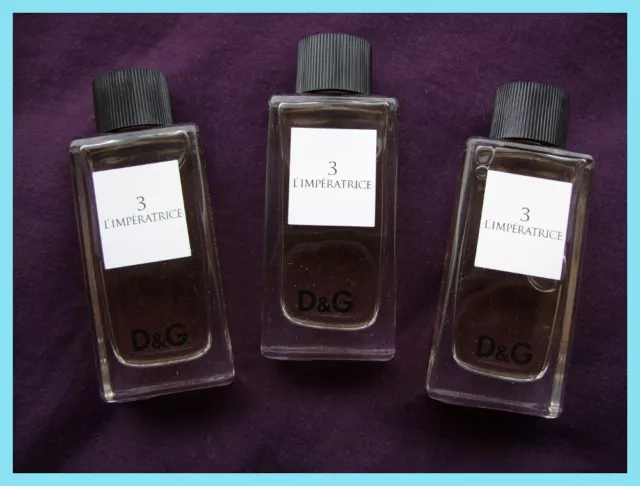 Dolce gabbana online anthology collection