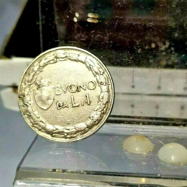 OLD MEDAGLIA DISTINTIVO Vittorio Emanuele Buono Da Lire 1 1922