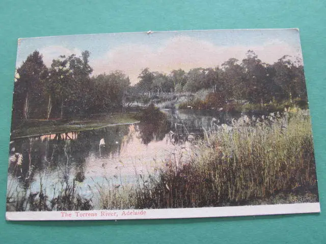 The Torrens River Adelaide South Australia Postcard