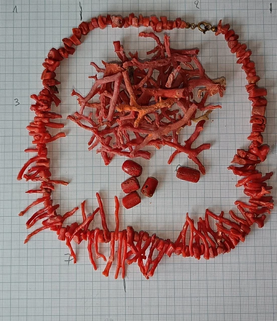Collier En Corail Rouge Naturel - Longueur Environ 40 Cm - Sans Fermoirs - Lot Unique - Neuf Sans Emballage