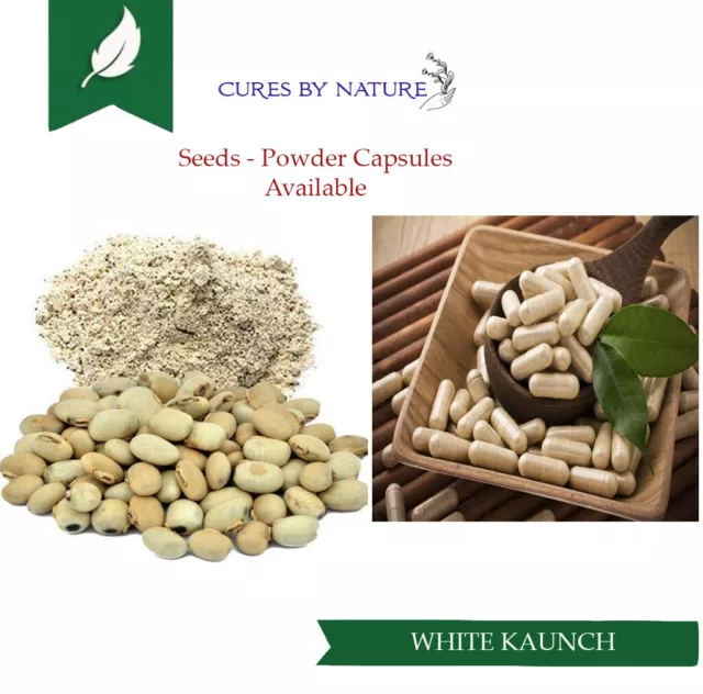 Kaunch Beej Safed  White Seeds-Mucuna Pruriens  INDIAN VELVET BEANS Konch Beej