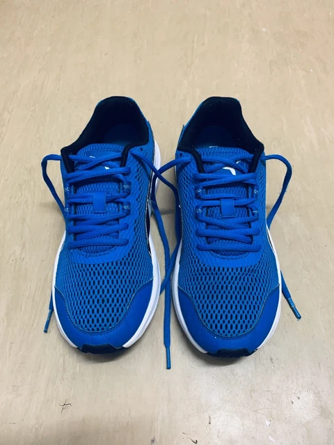 Puma descendant sales v4