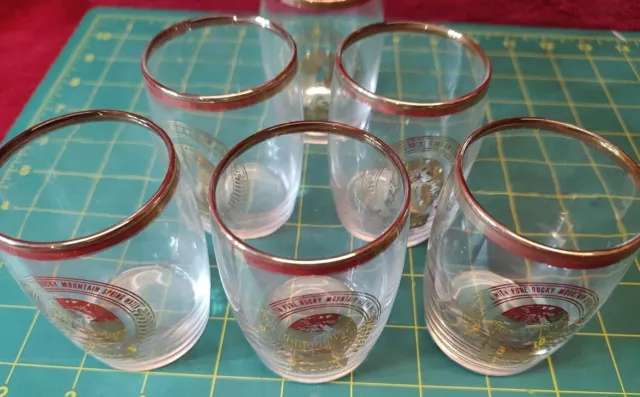 Vintage Coors Beer Barrel Clear Glass Beer Tasting Glasses (Set of 6)