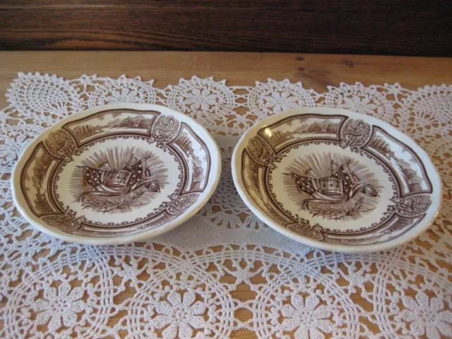 2 Americana Style House Ironstone Everlasting Colour J & G. Meakin Saucer Plates