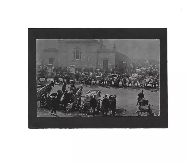 Cattle Fair, KILLARNEY, Co.Kerry, Ireland. Tuck’s Irish Life Series no.1850.