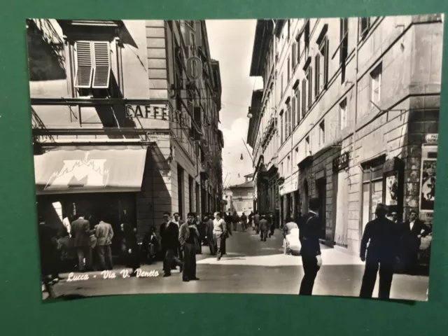 Cartolina Lucca - Via V.Veneto - 1960ca.