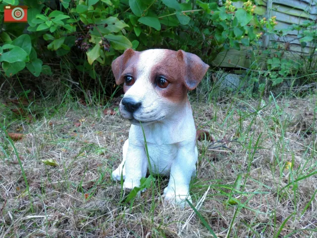 JACK RUSSELL PUPPY, Vivid Arts, So Cute Home & Garden Ornament. Very Realistic