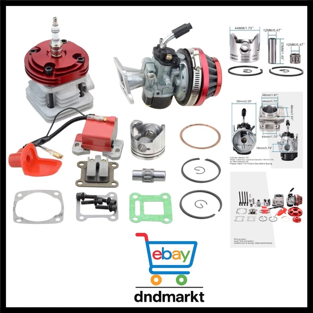 Rot Motor ROT 44MM BIG Bore 53cc 54cc 2T Motor Set ATV Quad Mini Dirtbike EUR 123 ...