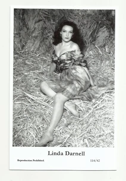 (Bx28) Linda Darnell Swiftsure Photo Postcard (114/42) Filmstar Pin Up Glamor