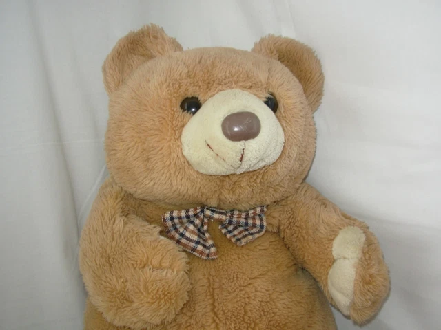 Vieil Ours En Peluche Rasé, Isolé Sur Blanc Image stock - Image du