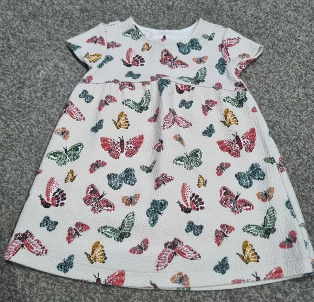 Baby Girl Cream Butterfly Smock Party Dress. 18-24 Months. Zara