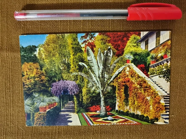 34479 CARTOLINA d'Epoca BELLUNO provincia - Lago di Alleghe