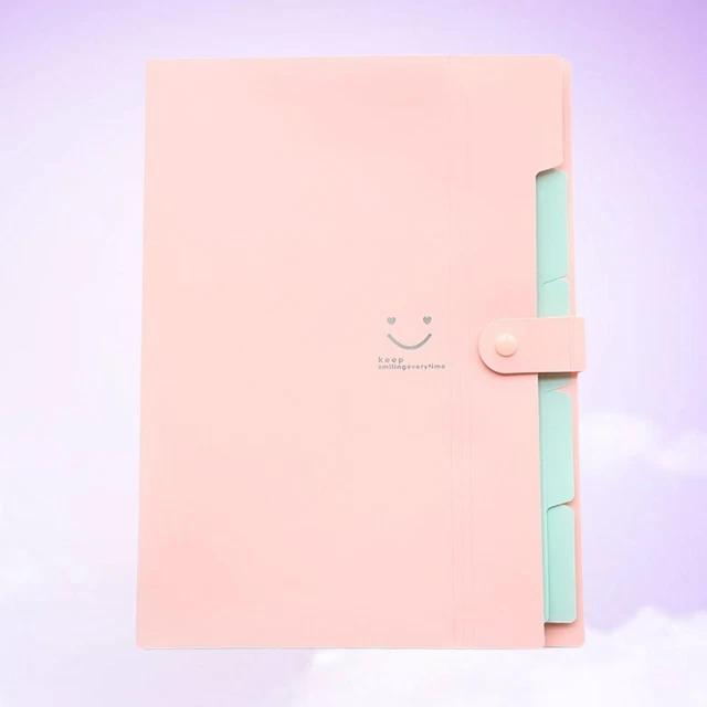 DOCUMENT ORGANISER ORGANIZER Cute Folders for School File Holder $21.84 ...