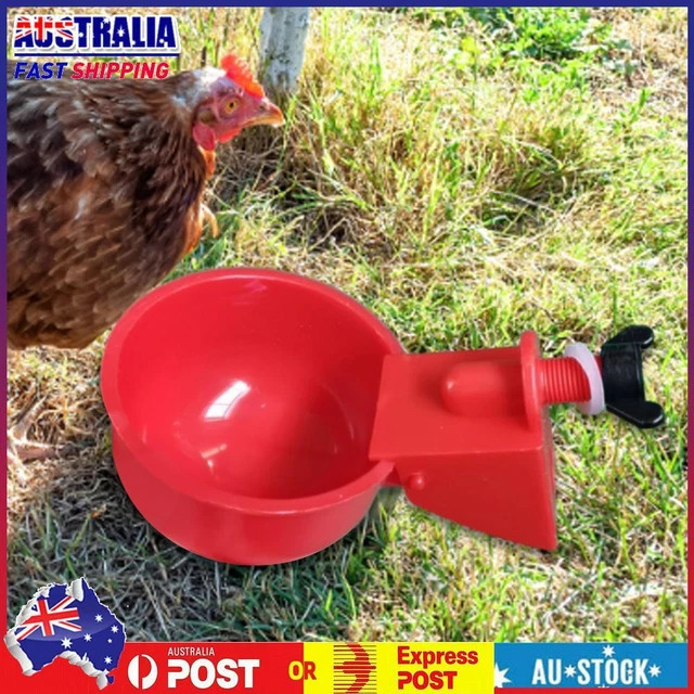 6Pcs Waterproof Automatic Chicken Drinker Cup Kit Poultry Drinking Bowl Feeder