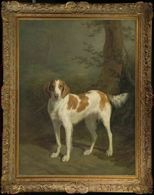 Old Master-Art Antique Oil Painting animal Portrait dog on canvas 24"x36"