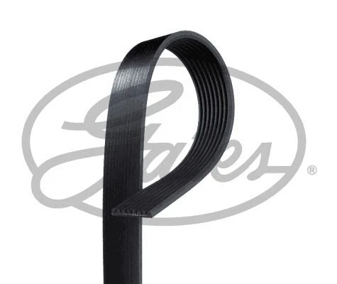 Cinghia trapezoidale cinghia di trasmissione cinghia trapezoidale Gates 8Pk1310Xs per Mazda 3 BL 09-13