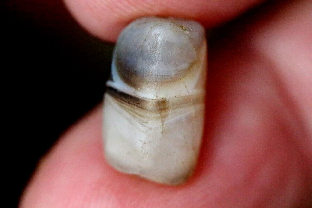 Est 2000 Years Old Bactrian Near Eastern Eye Agate Banded Bead- 13 mm  #L804