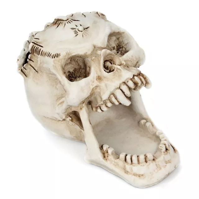 Skull for Head Ornament Skeleton Pen Holder Desktop Pencil Organizer Makeup Stor