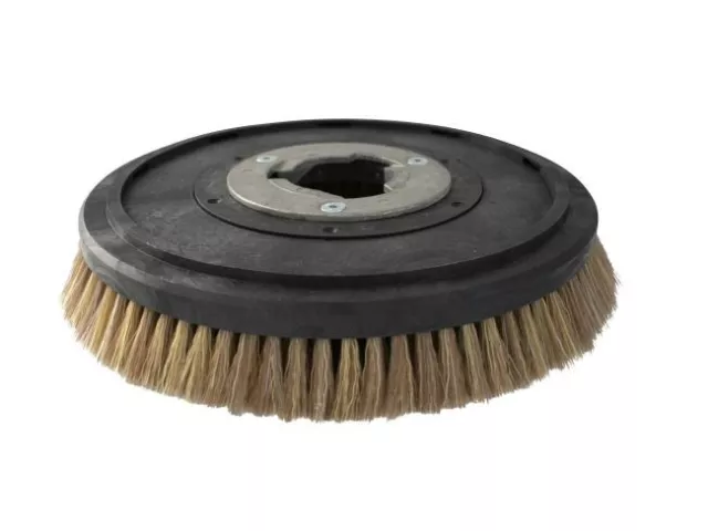 Polishing Brush Suitable For for Nilfisk-Advance BA430, BRM421B - 5K-Borste