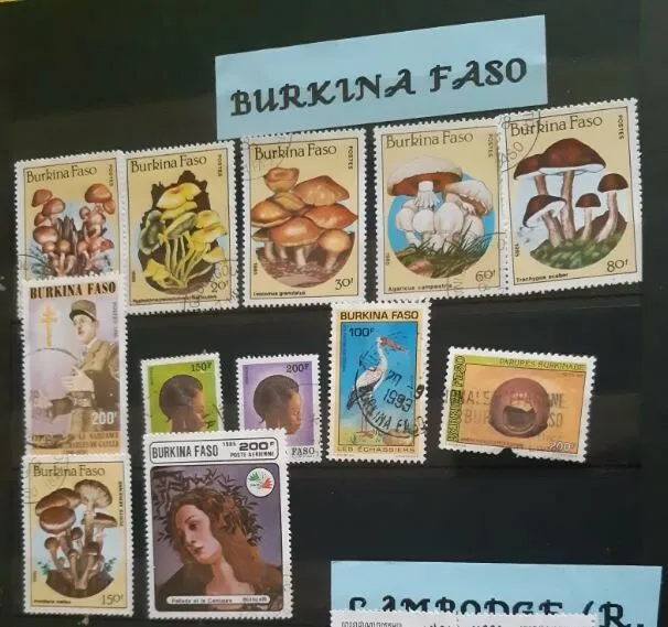 12 Burkinabese stamps / Lot de 12 timbres du Burkina Faso
