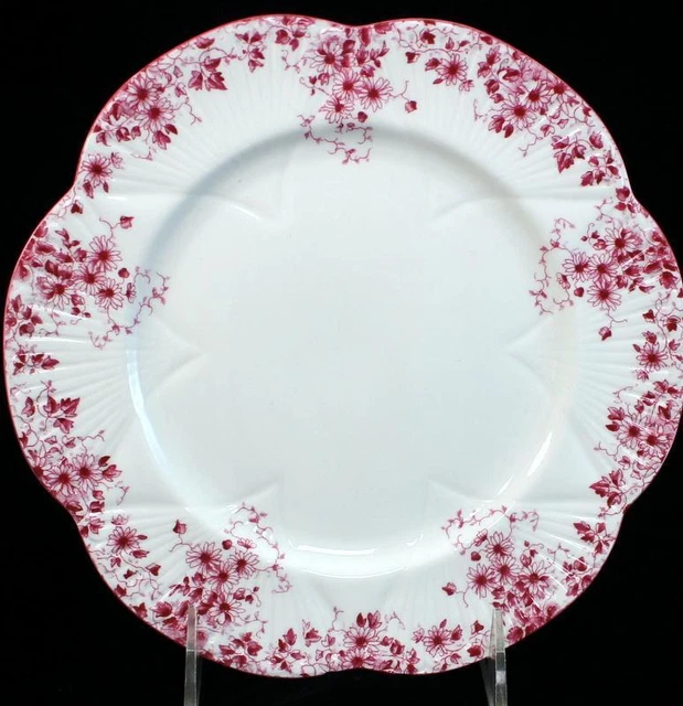 Shelley Délicats Rose Salade Plaque 051/Cadeau