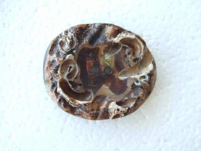 Boutons Anciens En Nacre - Lot De 18 Pièces Sur Carte, Occasion, Référence 246