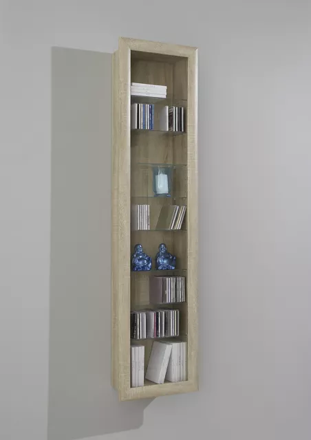 Bora Wall Mounted Glass & Wood Display Cabinet Shelving