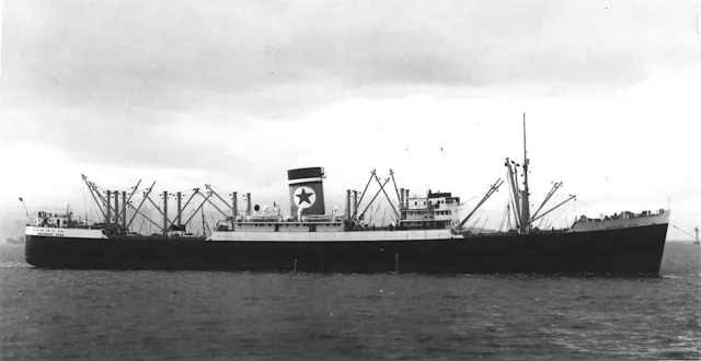 Brisbane Star Ship of the Blue Star Line Shipping Co OLD PHOTO