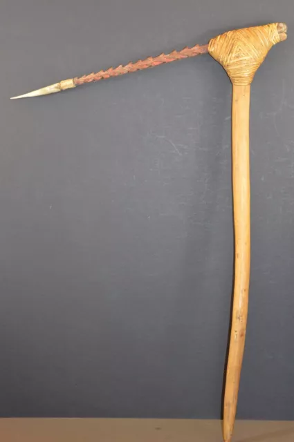 Antica Papua Nuova Guinea Highlands tribale Cassowary Claw Fighting Club, c1890.