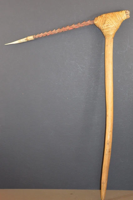 Antica Papua Nuova Guinea Highlands tribale Cassowary Claw Fighting Club, c1890.