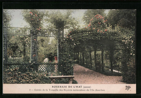 CPA 63 MIREFLEURS ENTREE DU PAYS VILLA ROSERAIE