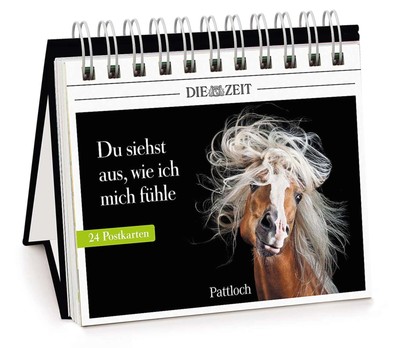 Du siehst aus, wie ich mich fühle,