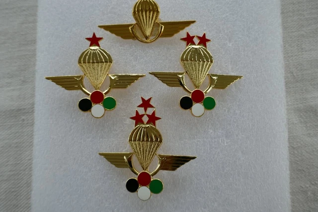 Autocollant Blason Émirats Arabes Unis - 95mm Vinyle Brillant - UAE Dubaï Abu Dhabi - Pour Voiture, Casque, Fenêtre - Résistant Intérieur/extérieur