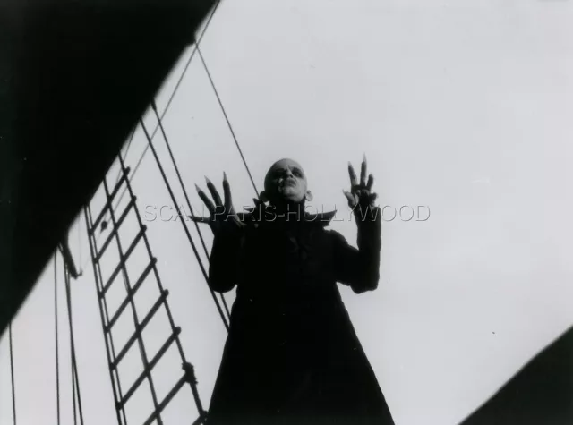Klaus Kinski  Nosferatu The Vampyre 1979 Vintage Photo Original #5