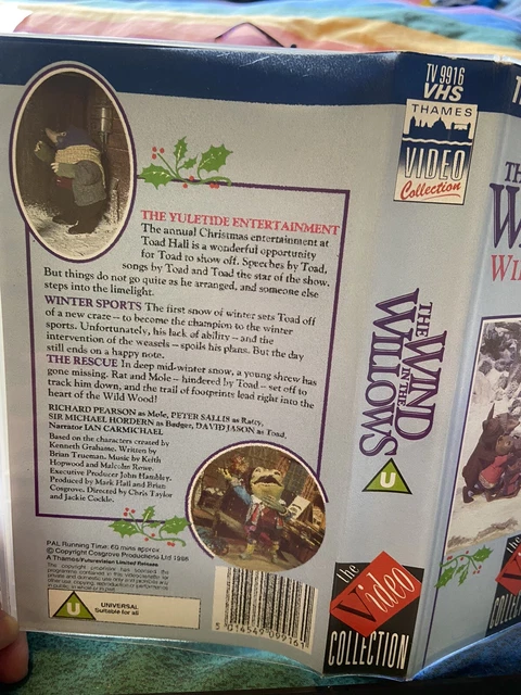 THE WIND IN the Willows VHS Tape Badger Mole Ratty Toad Winter Tales ...