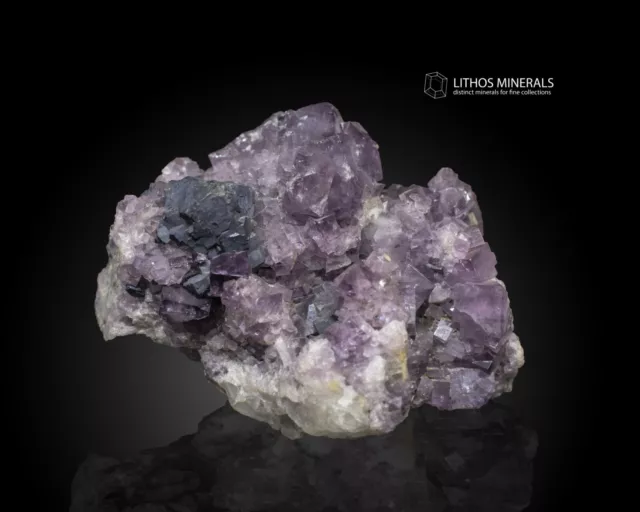 Minerali -  Storica Fluorite Viola Con Galena - Inghilterra