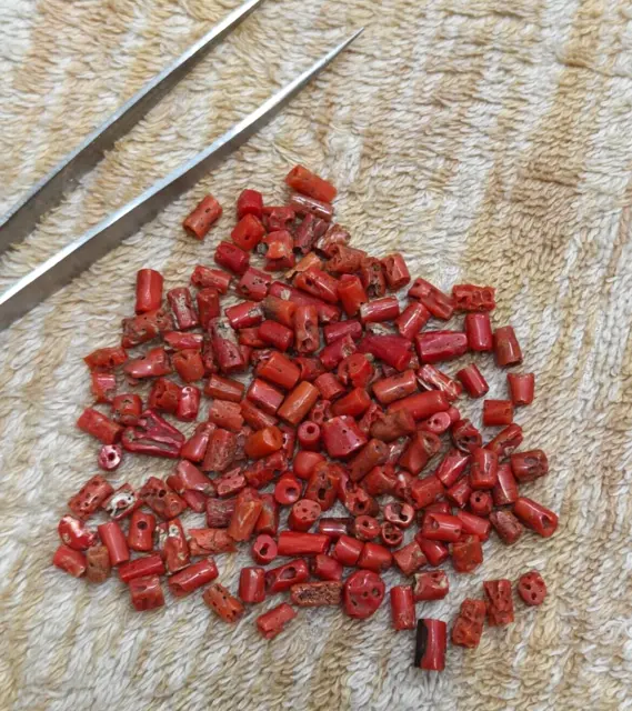 150 Pc Natural White Coral Gemstone Genuine Round Loose Beads For Jewelry Making