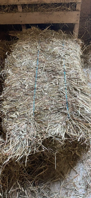 1st cut ‘22 Hay